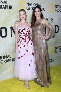 Kate Bosworth, Sarah Wayne Callies