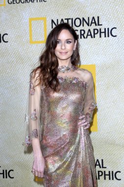 Sarah Wayne Callies 