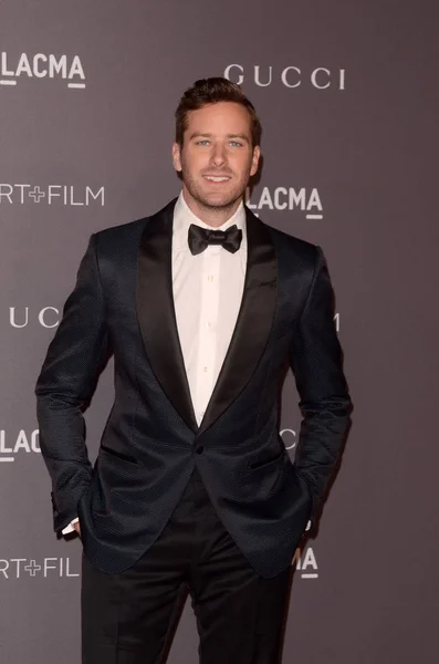 Acteur Armie Hammer — Stockfoto