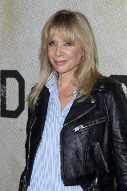 Sinema oyuncusu Rosanna Arquette