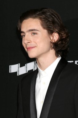 Aktör Timothee Chalamet