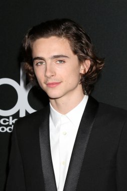 Aktör Timothee Chalamet