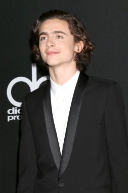 Aktör Timothee Chalamet