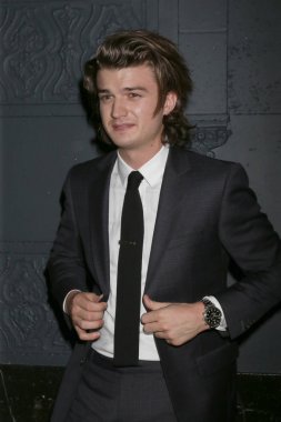 aktör Joe Keery