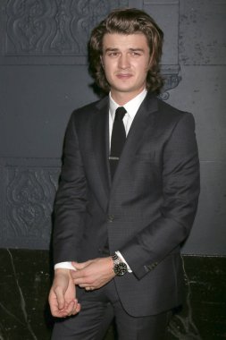 aktör Joe Keery