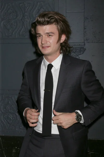 Attore Joe Keery — Foto Stock