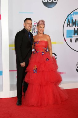 Şarkıcı Pink ve Carey Hart