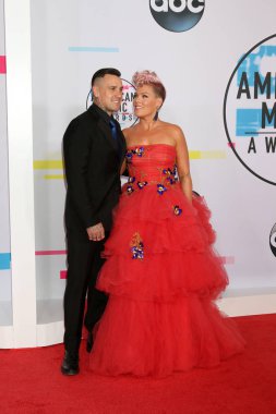 Şarkıcı Pink ve Carey Hart