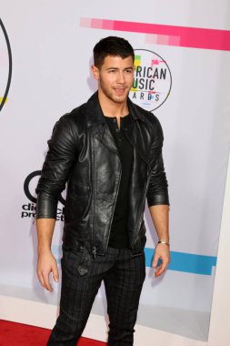 Şarkıcı Nick Jonas