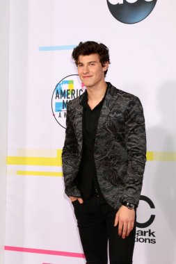 şarkıcı Shawn Mendes