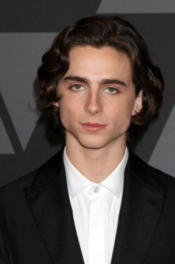 Aktör Timothee Chalamet