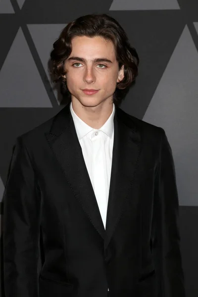 Ηθοποιός Timothee Chalamet — Φωτογραφία Αρχείου