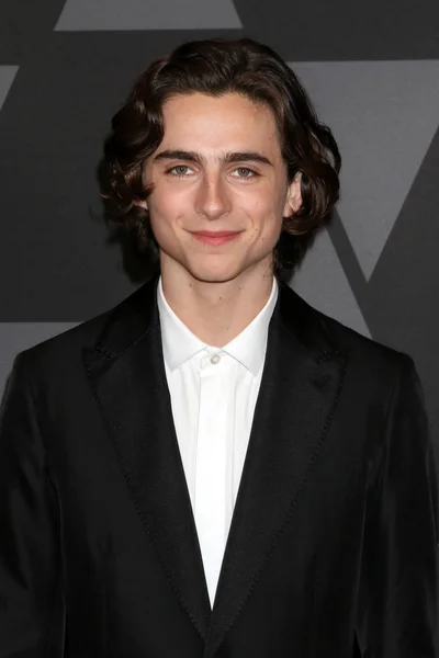 Skådespelaren Timothee Chalamet — Stockfoto