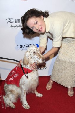 Yıldızı Lara Flynn Boyle 2017 D.R.E.A.M. gala montaj Hotel Beverly Hills, Ca