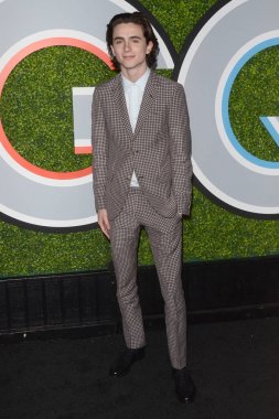 Aktör Timothee Chalamet