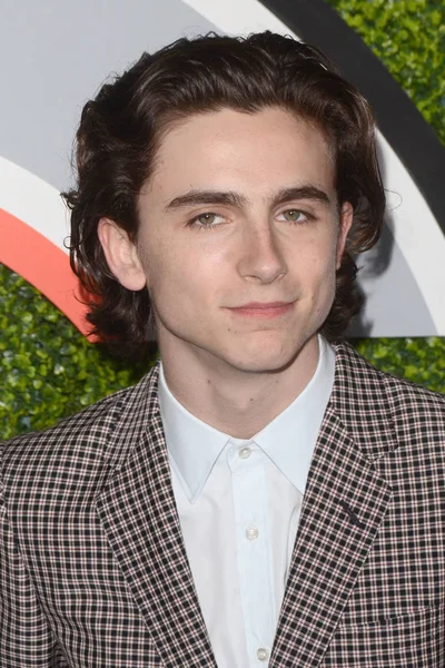 Ator Timothee Chalamet — Fotografia de Stock