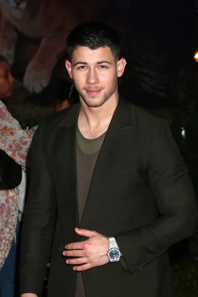 Actor Nick Jonas — Stock Photo, Image