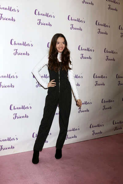 Gaiilea al Chandler's Friends Toy Drive & Wrapping Party — Foto Stock