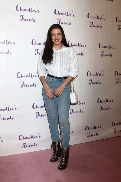 Lilimar at the Chandler 's Friends Toy Drive & Wrapping Party — стоковое фото