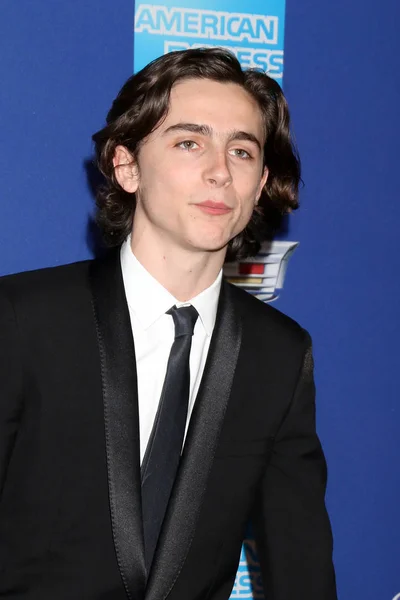 Aktor Timothee Chalamet — Zdjęcie stockowe