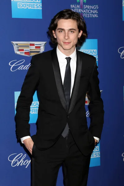 俳優ティモシー Chalamet — ストック写真