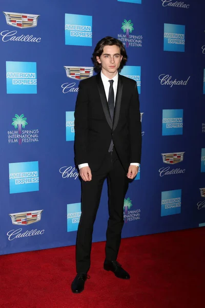 Ηθοποιός Timothee Chalamet — Φωτογραφία Αρχείου