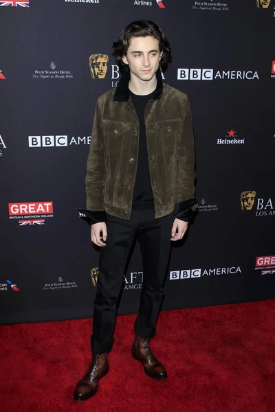 배우 Timothee Chalamet — 스톡 사진