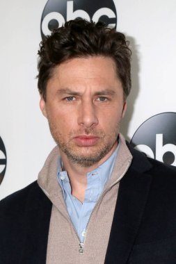 aktör Zach Braff 