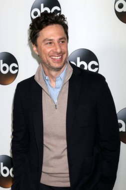 aktör Zach Braff 