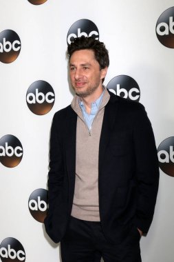 aktör Zach Braff 