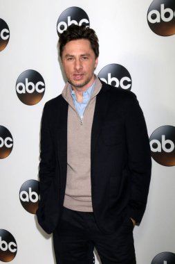 aktör Zach Braff 