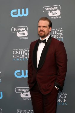 aktör David Harbour