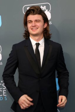 aktör Joe Keery