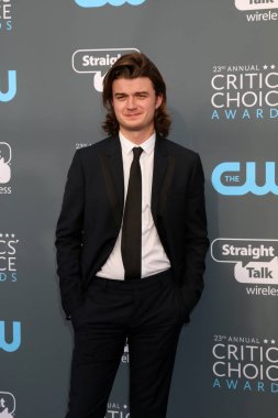 aktör Joe Keery