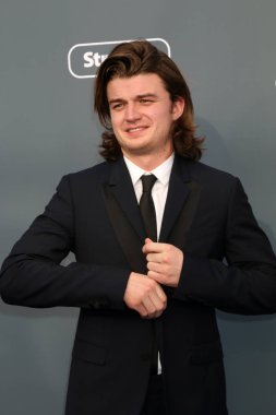 aktör Joe Keery