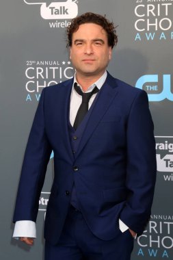 Aktör Johnny Galecki 