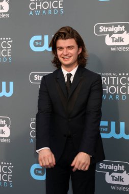 aktör Joe Keery