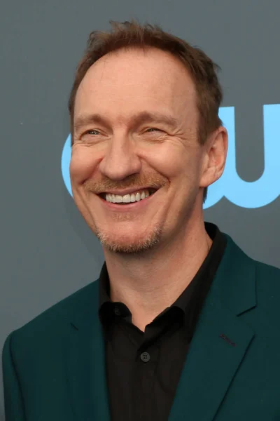 Actor David Thewlis — Foto de Stock