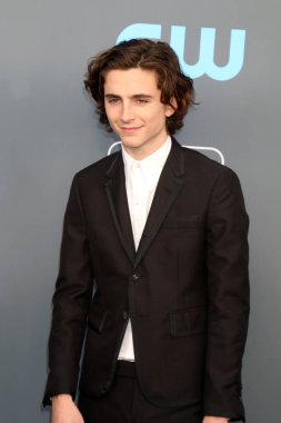 Aktör Timothee Chalamet