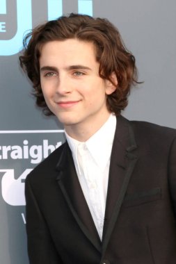 Aktör Timothee Chalamet