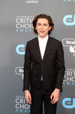 Aktör Timothee Chalamet