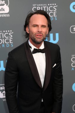 aktör Walton Goggins