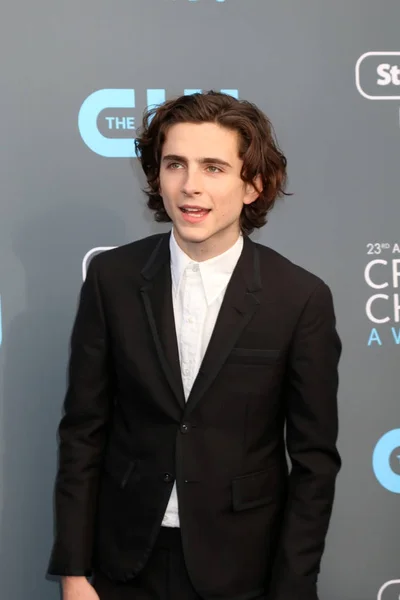 俳優ティモシー Chalamet — ストック写真