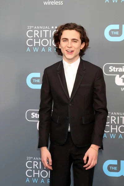 Aktör Timothee Chalamet — Stok fotoğraf