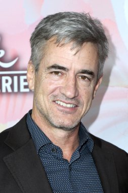 Aktör Dermot Mulroney