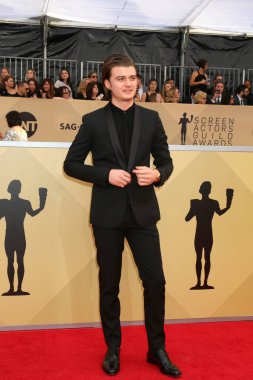 aktör Joe Keery