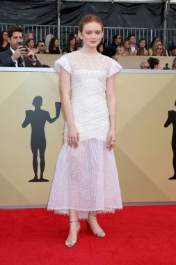 Los Angeles - 21 Ocak: Sadie lavabo 24 Screen Actors Guild Awards - 21 Ocak 2018 üzerinde tapınak salonunda Los Angeles, Ca, basın odası