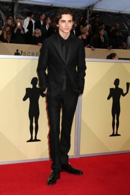 Los Angeles - 21 Ocak: Timothee Chalamet basın odası, Los Angeles, Ca üzerinde 21 Ocak 2018 tapınak Auditorium at 24th Screen Actors Guild Awards-