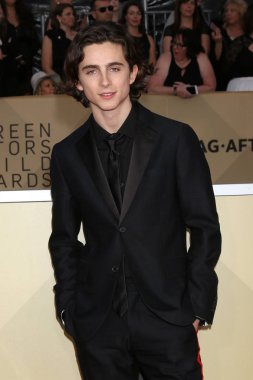 Los Angeles - 21 Ocak: Timothee Chalamet basın odası, Los Angeles, Ca üzerinde 21 Ocak 2018 tapınak Auditorium at 24th Screen Actors Guild Awards-