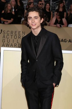 Los Angeles - 21 Ocak: Timothee Chalamet basın odası, Los Angeles, Ca üzerinde 21 Ocak 2018 tapınak Auditorium at 24th Screen Actors Guild Awards-